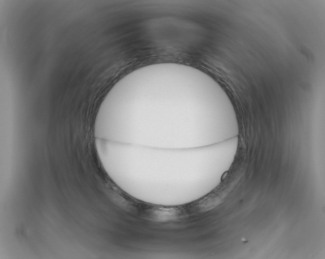 X0000111680085200908141458