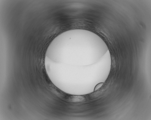 X0000111680087200908141458