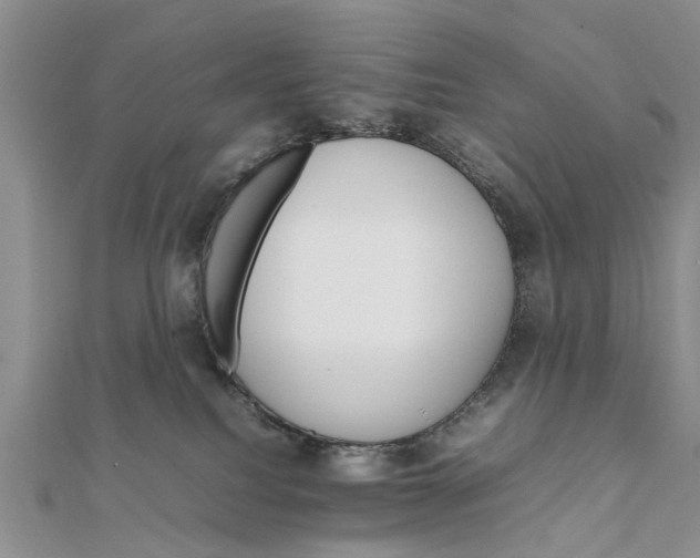 X0000111680088200908141458