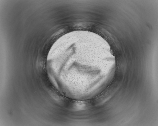 X0000111680091200908141459