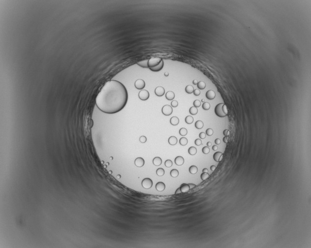 X0000111680093200908141459