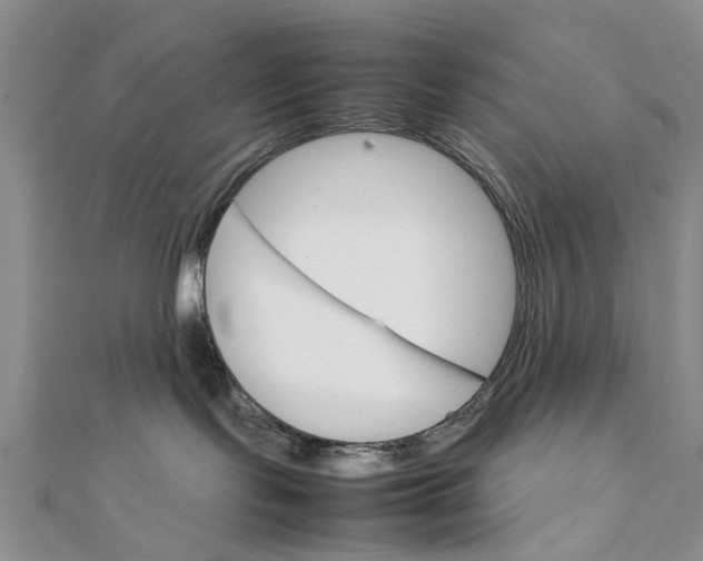 X0000111680095200908141459