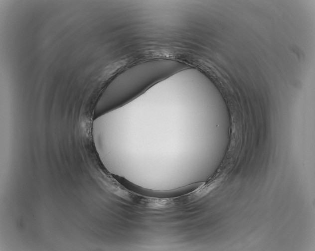 X0000111680096200908141459