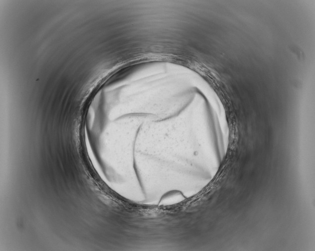 X0000111680098200908141458