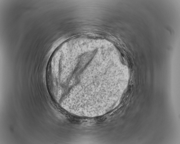 X0000111680099200908141458