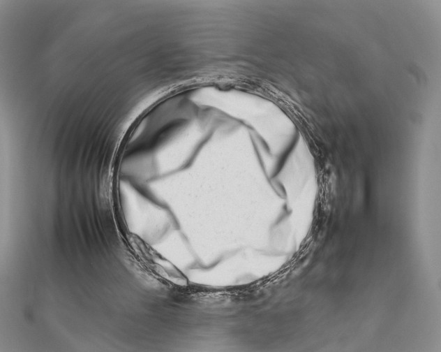 X0000111680100200908141458