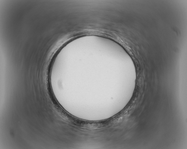 X0000111680103200908141458