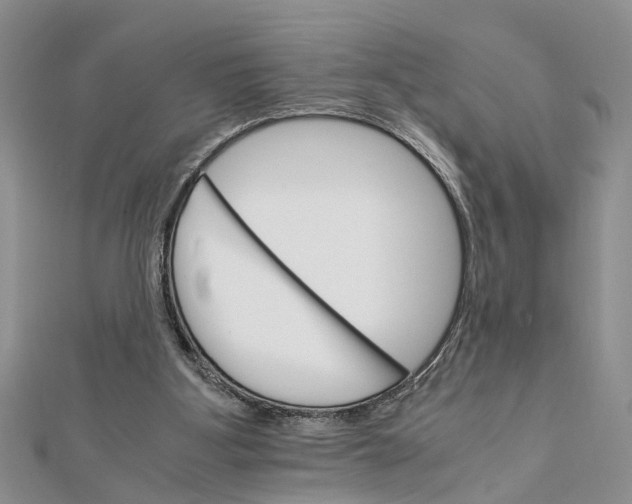 X0000111680107200908141458