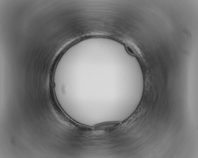 X0000111680108200908141458