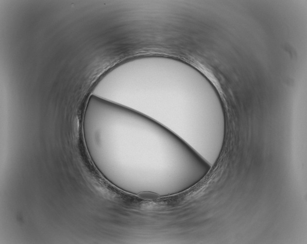 X0000111680109200908141458