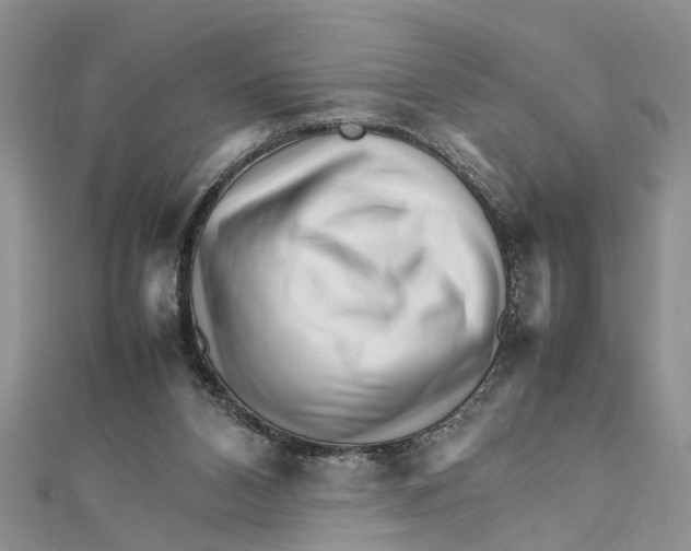 X0000111680112200908141458