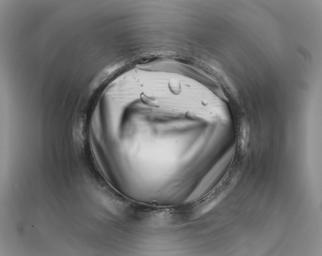 X0000111680116200908141458