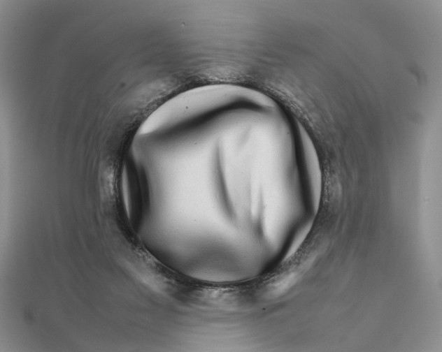 X0000111680117200908141458