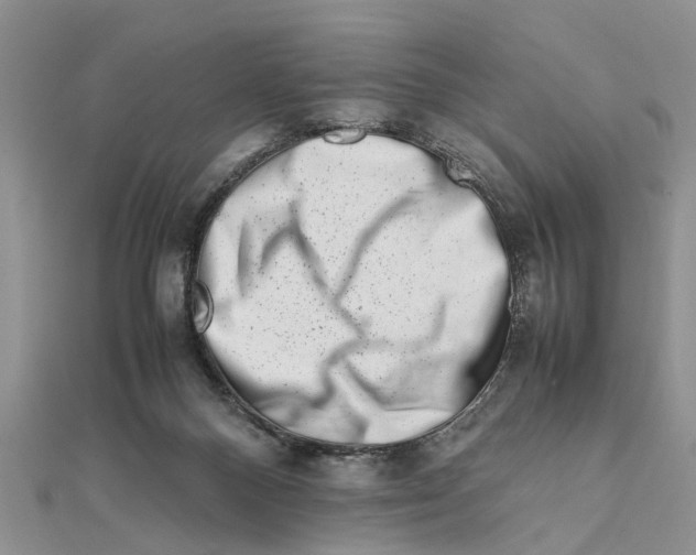 X0000111680120200908141458