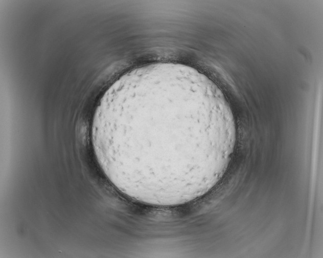 X0000111680123200908141458