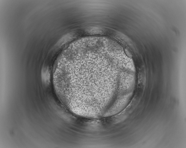 X0000111680124200908141458