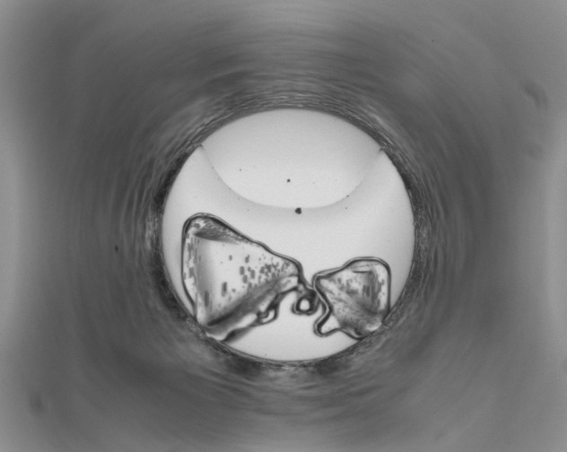 X0000111680125200908141458