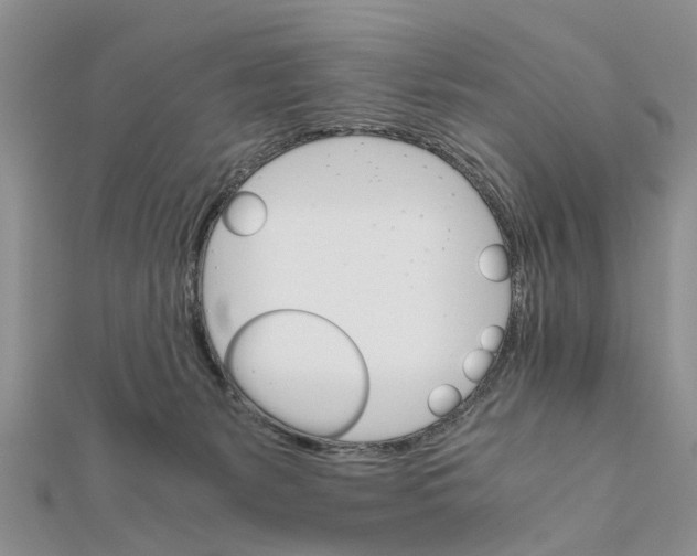 X0000111680127200908141458