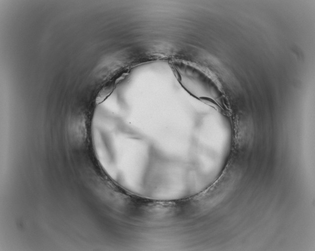 X0000111680128200908141458