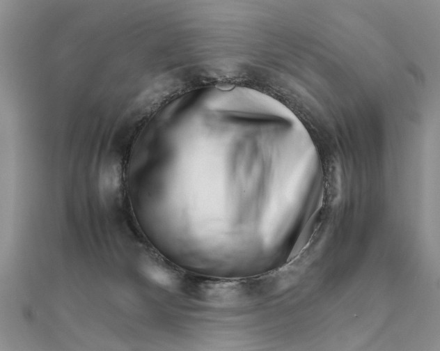 X0000111680132200908141458