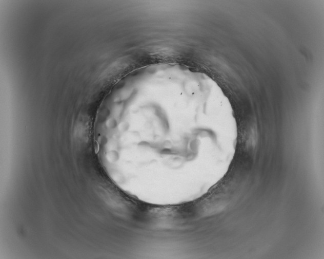 X0000111680133200908141458