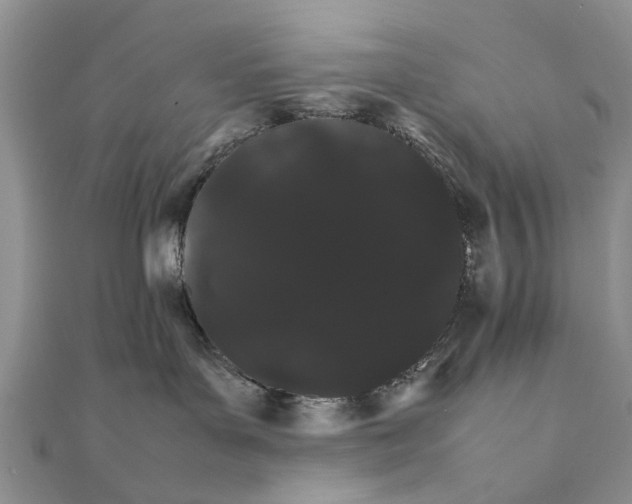 X0000111680143200908141457