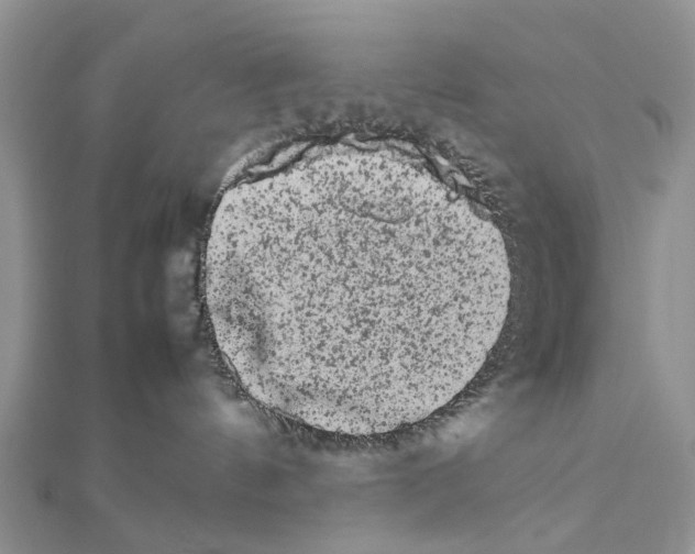 X0000111680144200908141457