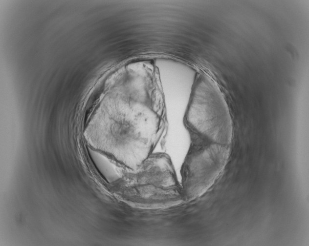 X0000111680145200908141457