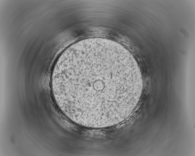 X0000111680146200908141457