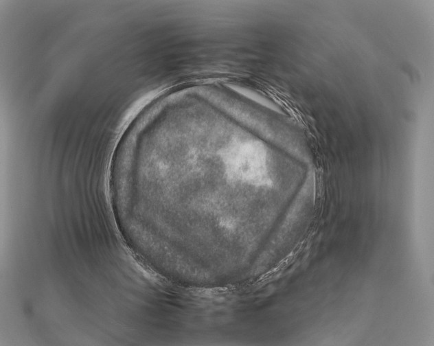 X0000111680147200908141457