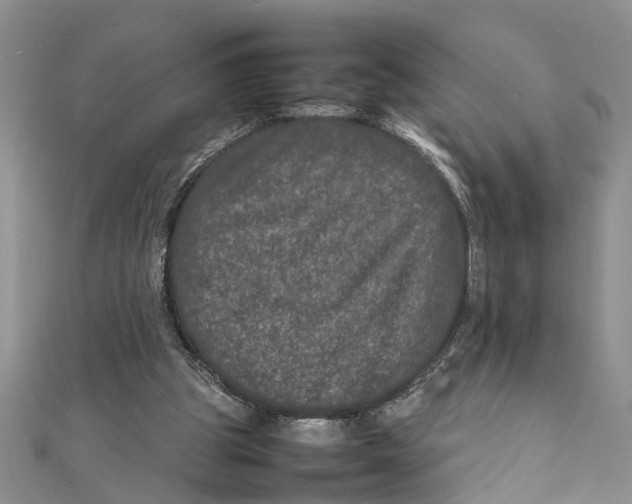 X0000111680153200908141457