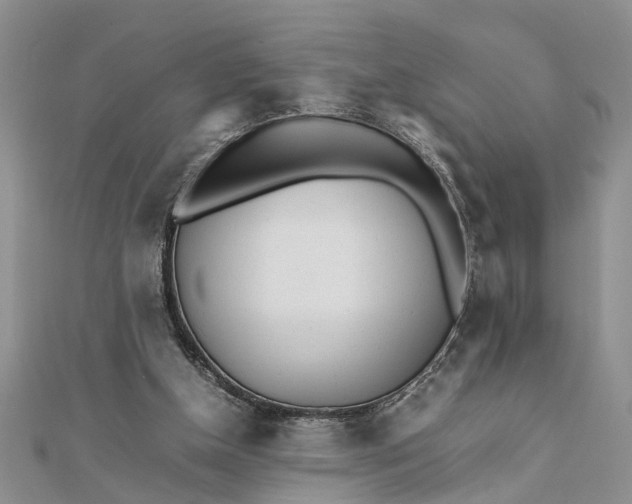 X0000111680154200908141457