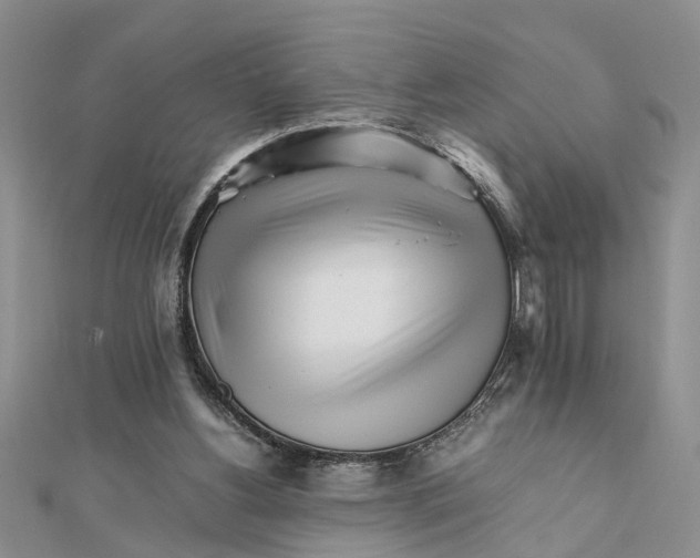 X0000111680156200908141457