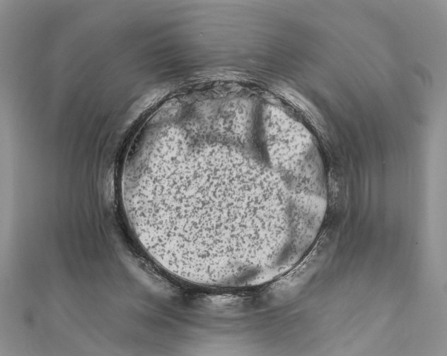 X0000111680158200908141457