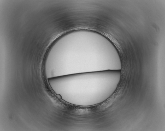 X0000111680160200908141457