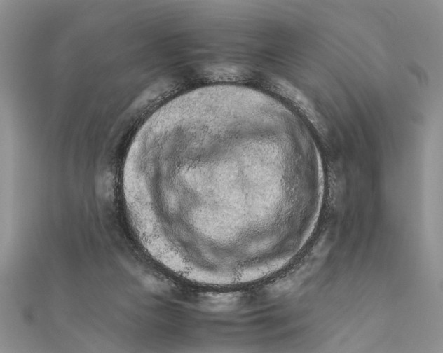 X0000111680161200908141457