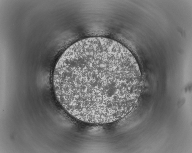 X0000111680162200908141457