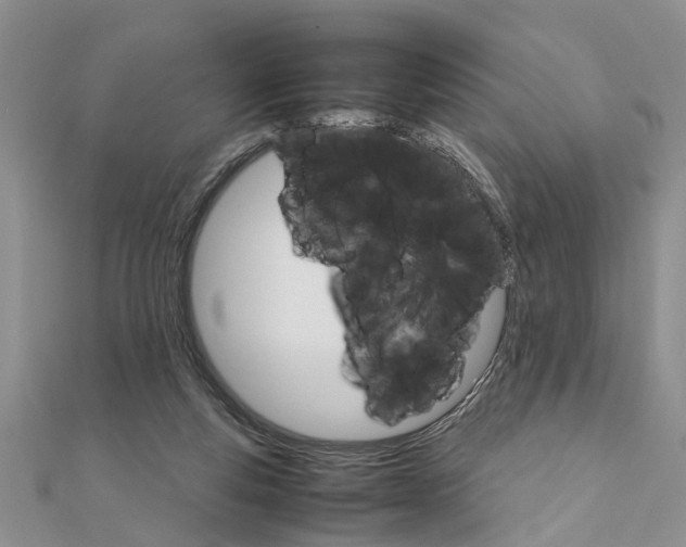 X0000111680163200908141457