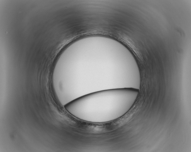 X0000111680164200908141457