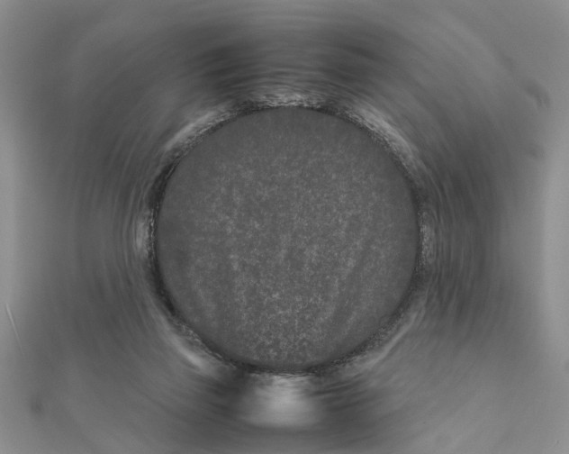 X0000111680165200908141457