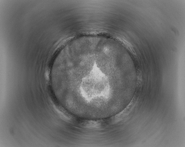 X0000111680166200908141457