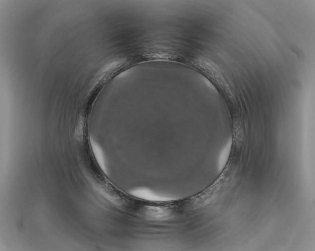 X0000111680167200908141457