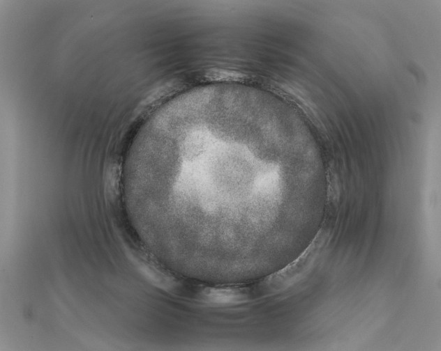 X0000111680171200908141457