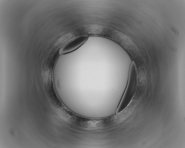 X0000111680172200908141457