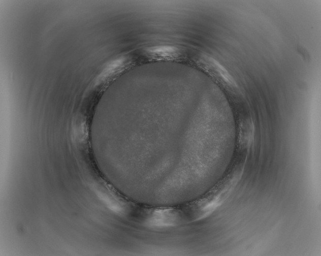 X0000111680173200908141457