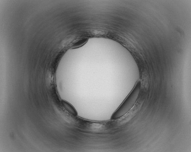 X0000111680176200908141457