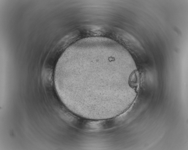 X0000111680178200908141457