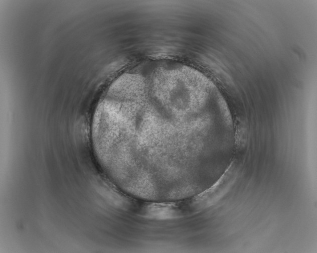 X0000111680179200908141457