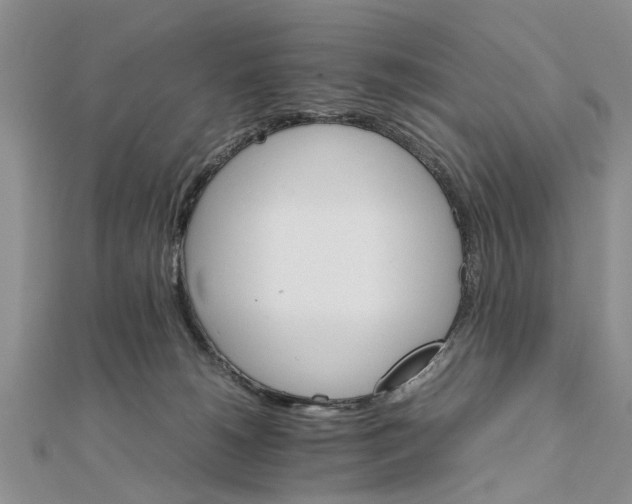 X0000111680180200908141457