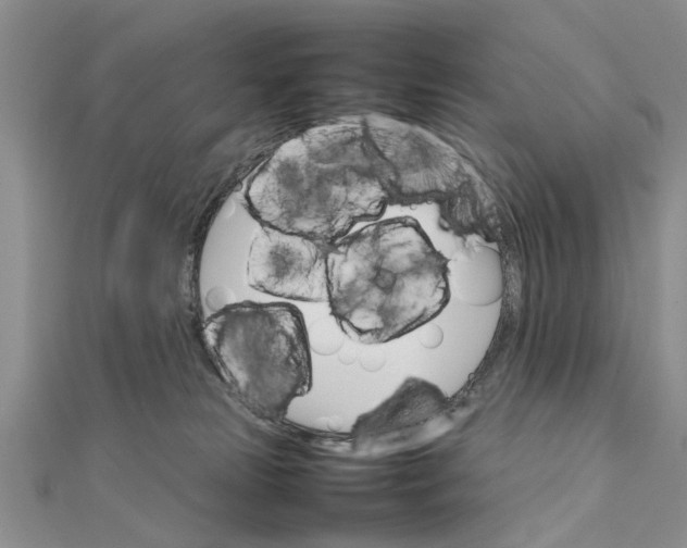 X0000111680181200908141457